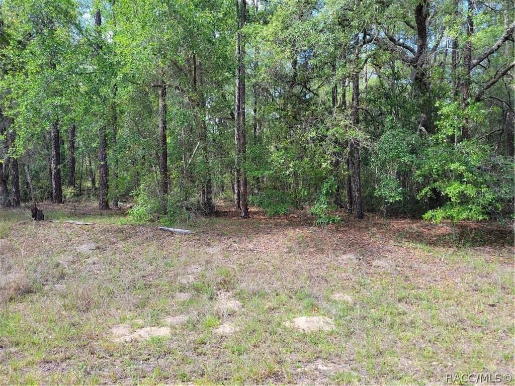 609 E CANTERBURY LN, DUNNELLON, FL, 34434