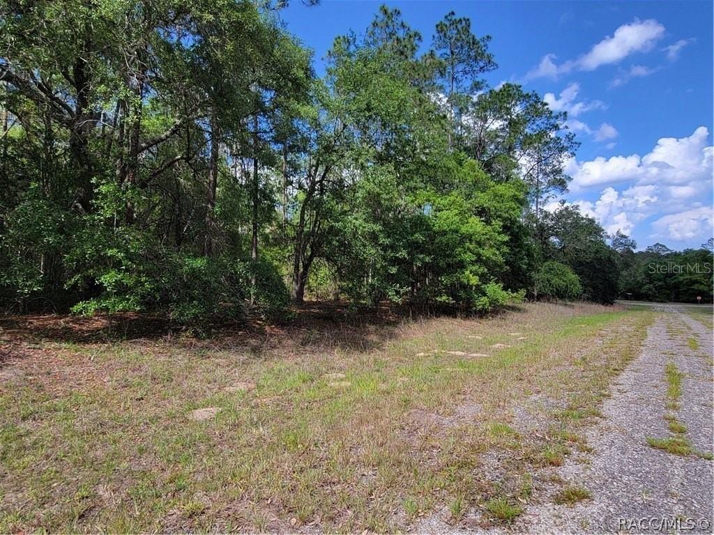 609 E CANTERBURY LN, DUNNELLON, FL, 34434
