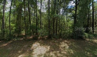 917 E ABEND DR, CITRUS SPRINGS, FL, 34434