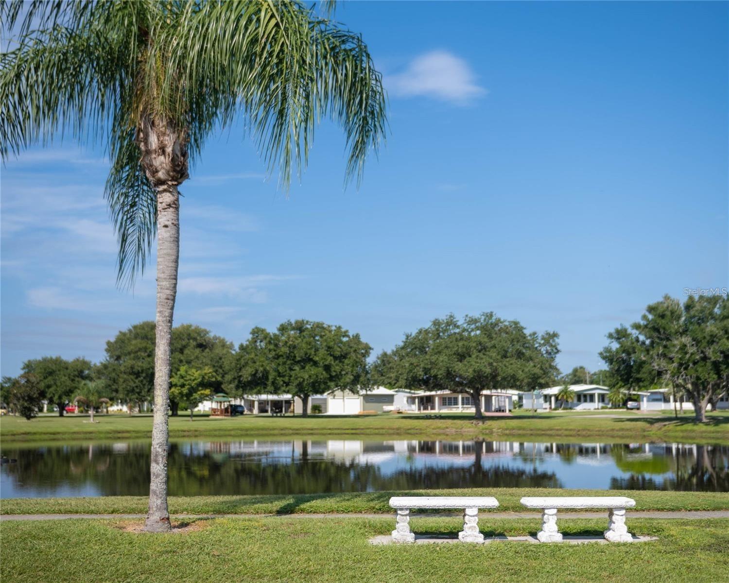 36651 JODI AVE, ZEPHYRHILLS, FL, 33542