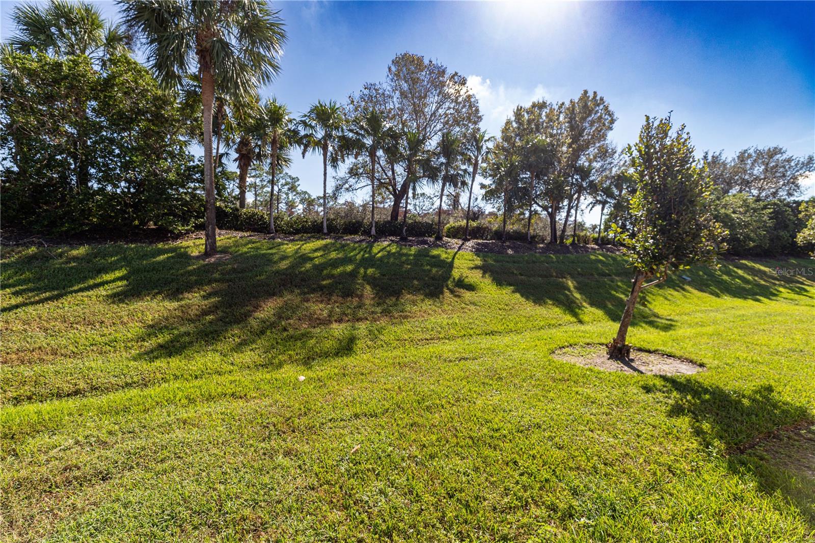 10547 CAROLINA WILLOW DR, FORT MYERS, FL, 33913