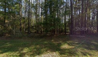 9261 N ATHENIA DR, CITRUS SPRINGS, FL, 34434