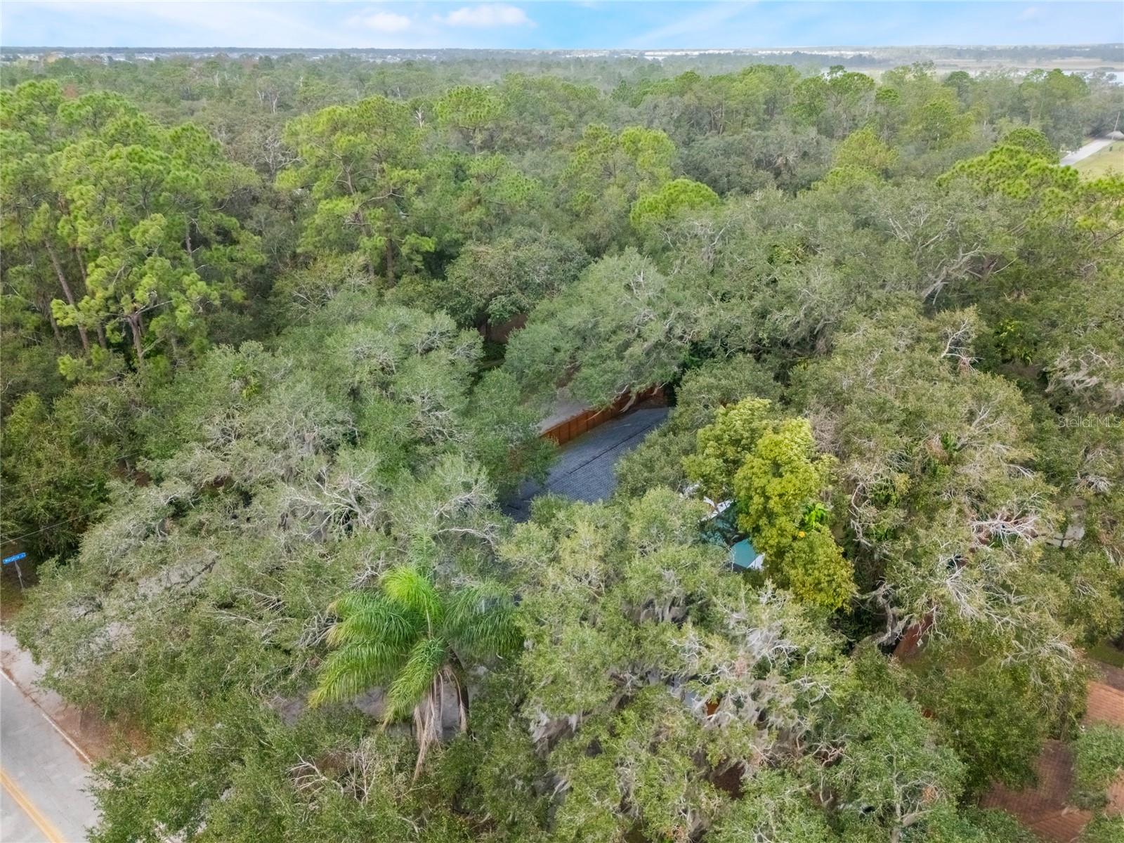 5525 ALLIGATOR LAKE RD, SAINT CLOUD, FL, 34772