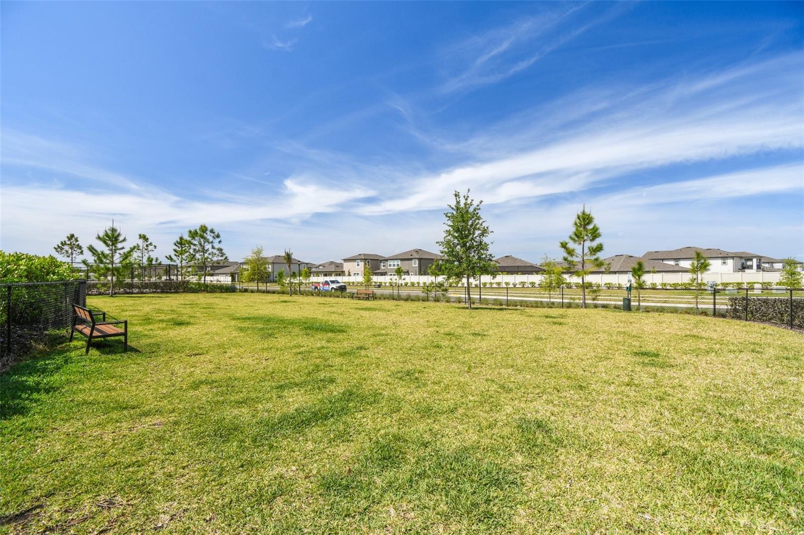 5230 FIDDLE FIG AVE, WIMAUMA, FL, 33598