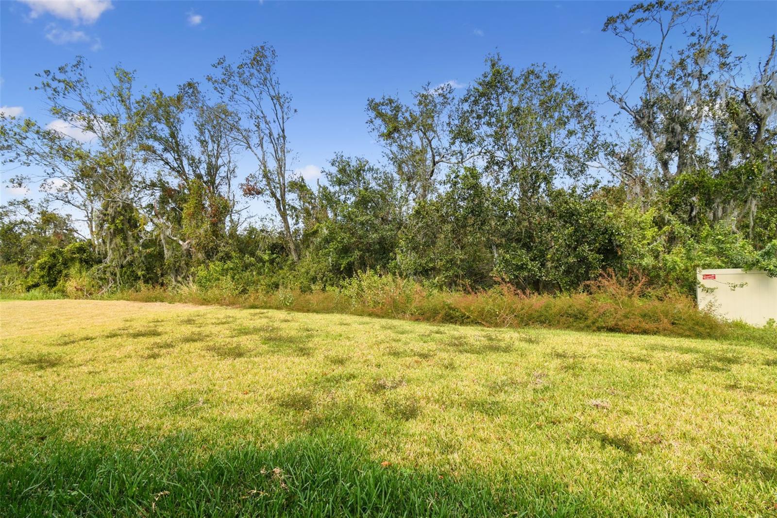 5230 FIDDLE FIG AVE, WIMAUMA, FL, 33598