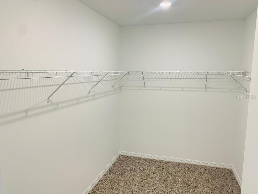 796 GRIFFON AVE, LAKE ALFRED, FL, 33850