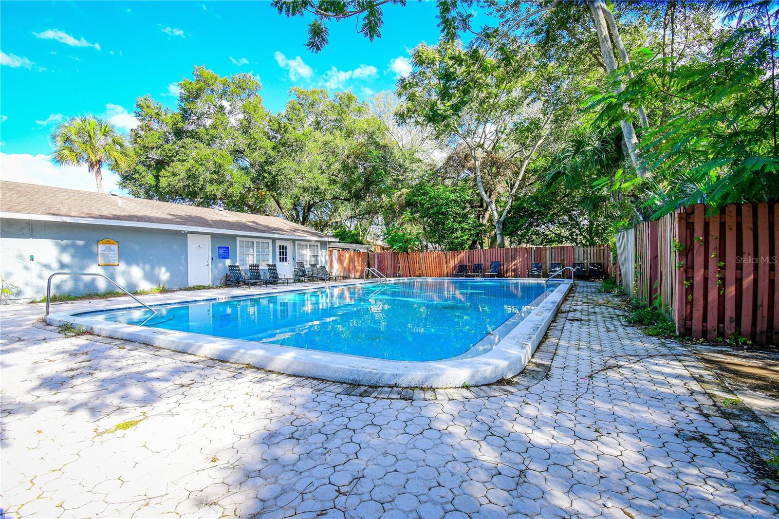 201 PINE VIOLET CT #202, TAMPA, FL, 33612