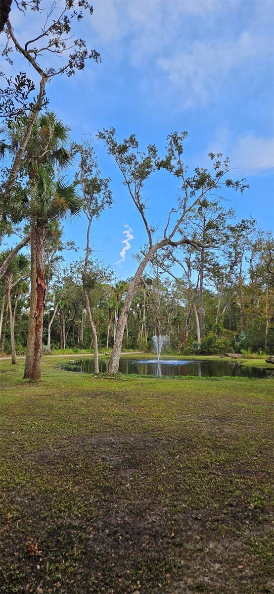 2995 RAGIS RD, EDGEWATER, FL, 32132