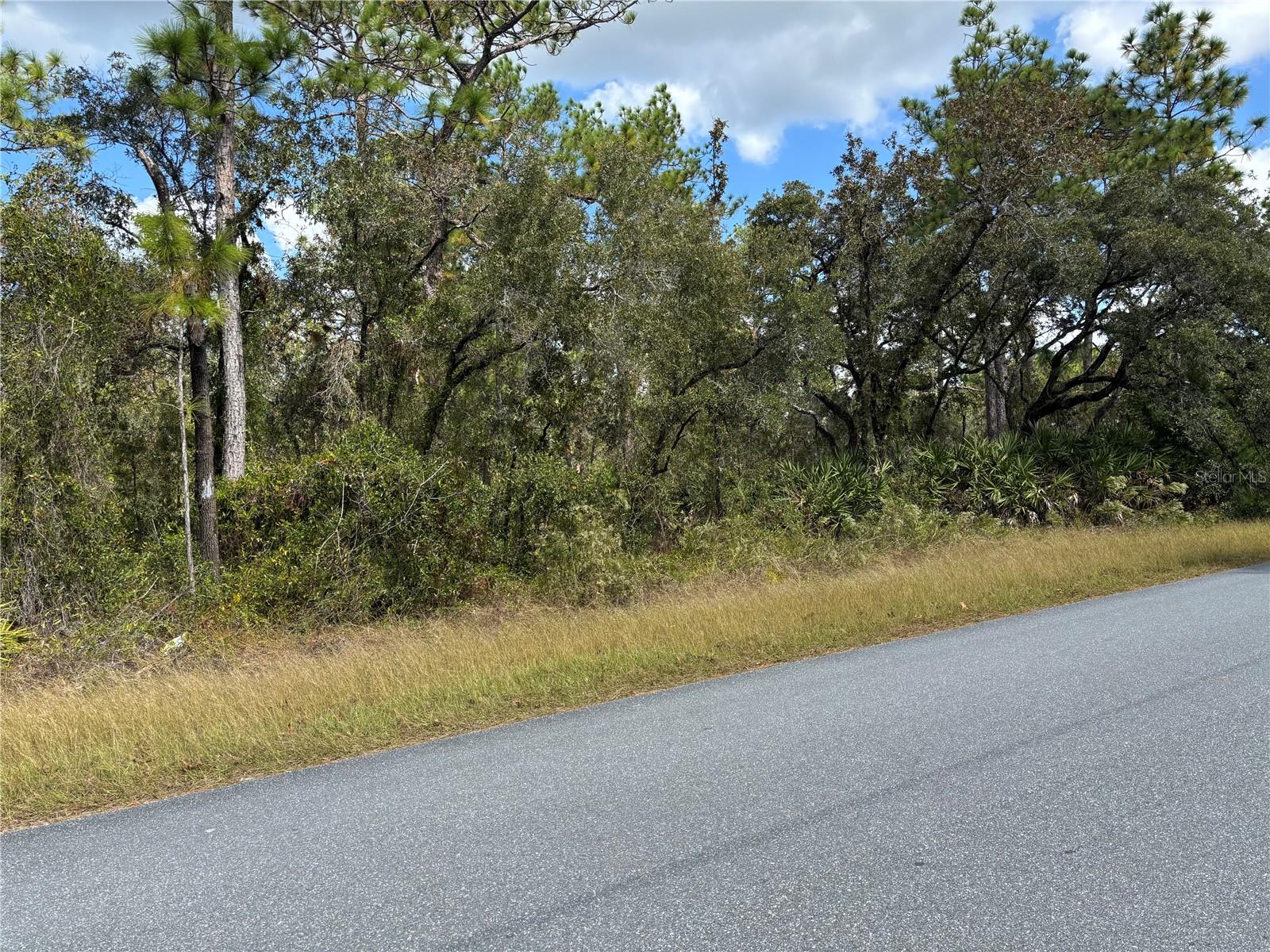 10351 WOOD OWL AVE, BROOKSVILLE, FL, 34614