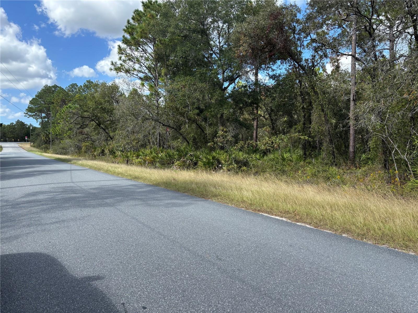 10351 WOOD OWL AVE, BROOKSVILLE, FL, 34614