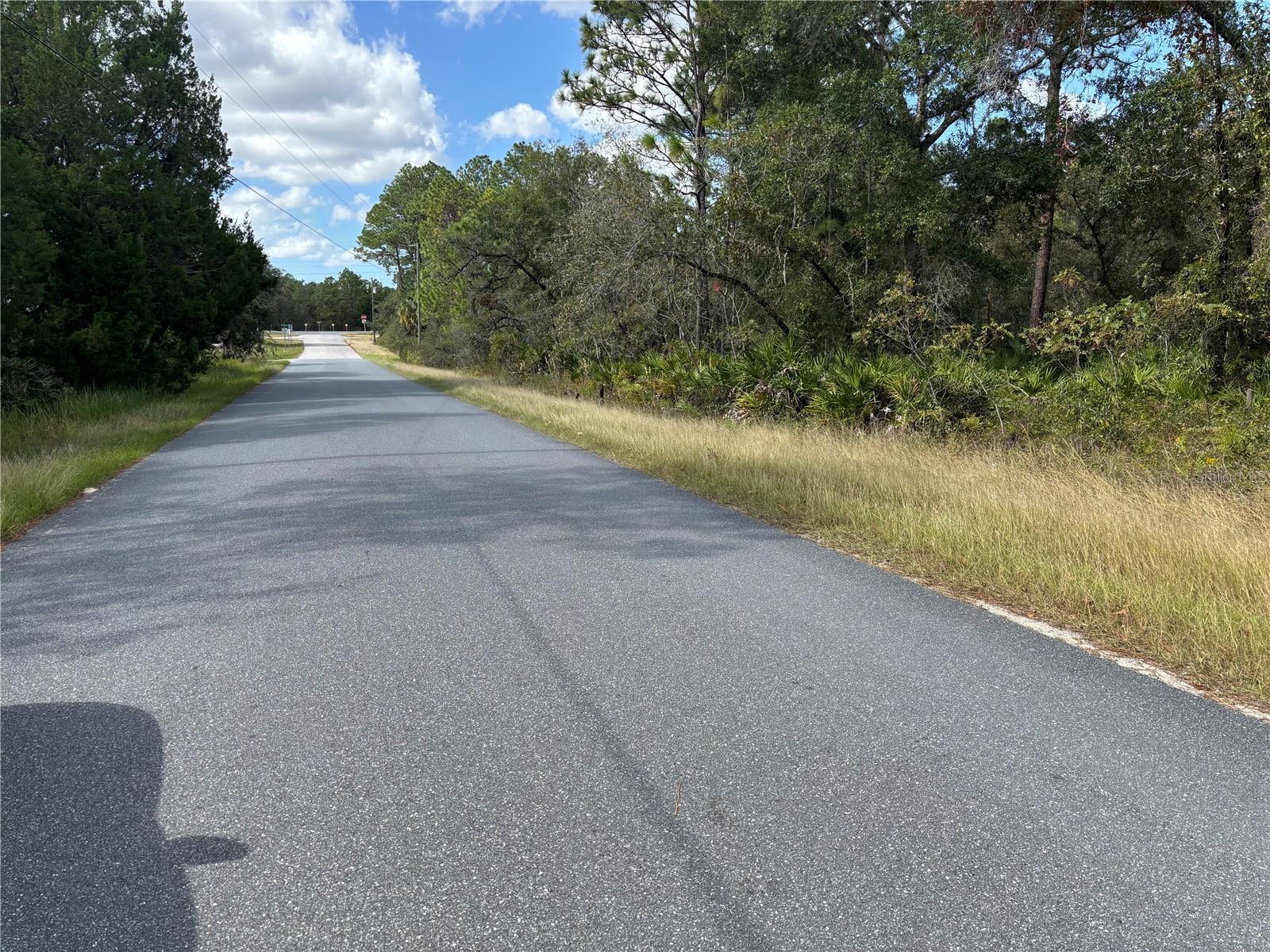 10351 WOOD OWL AVE, BROOKSVILLE, FL, 34614