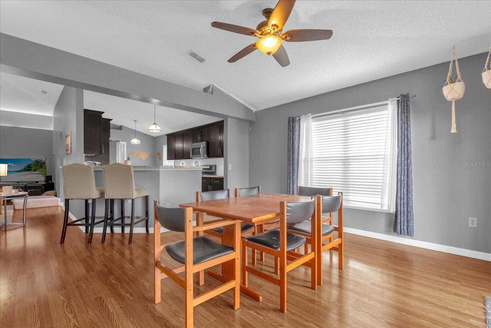 911 VASSAR DR, EUSTIS, FL, 32726