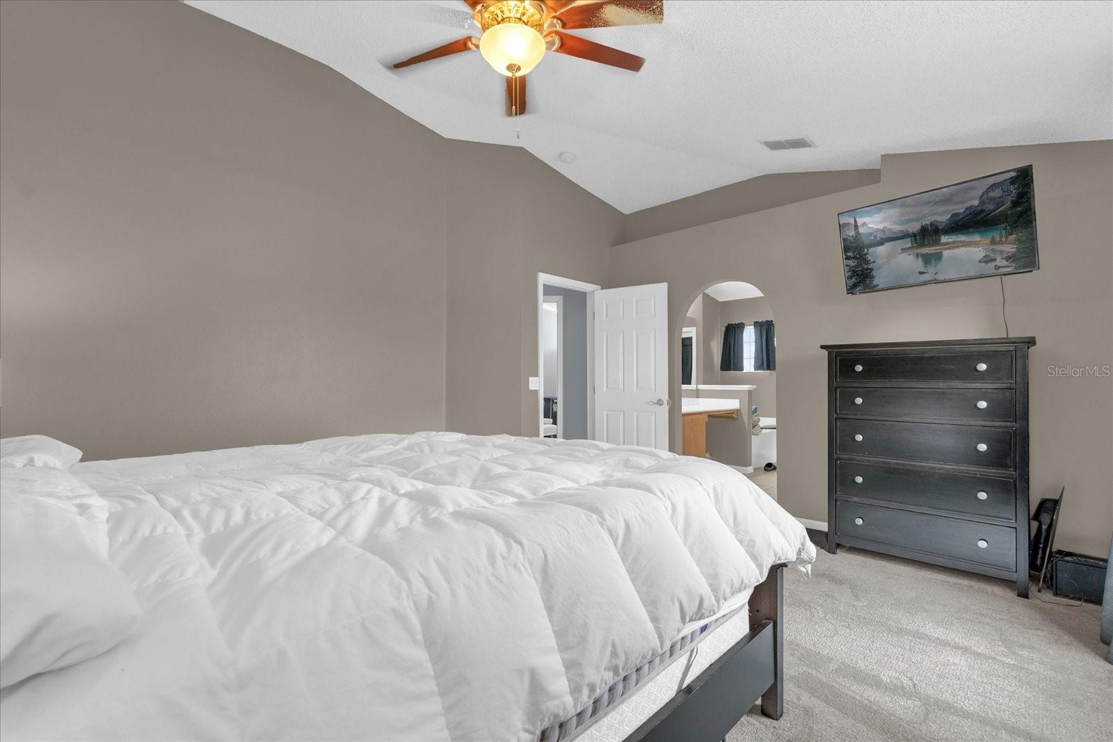 911 VASSAR DR, EUSTIS, FL, 32726