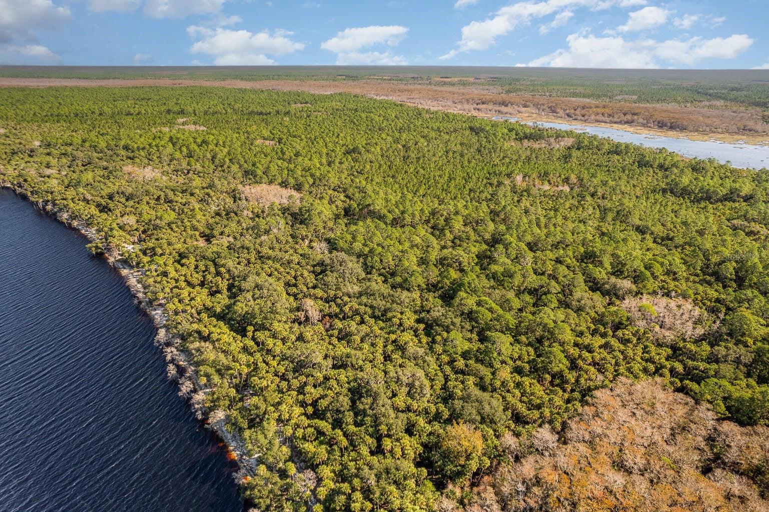 LAKE HARNEY WOODS BLVD, OSTEEN, FL, 32764