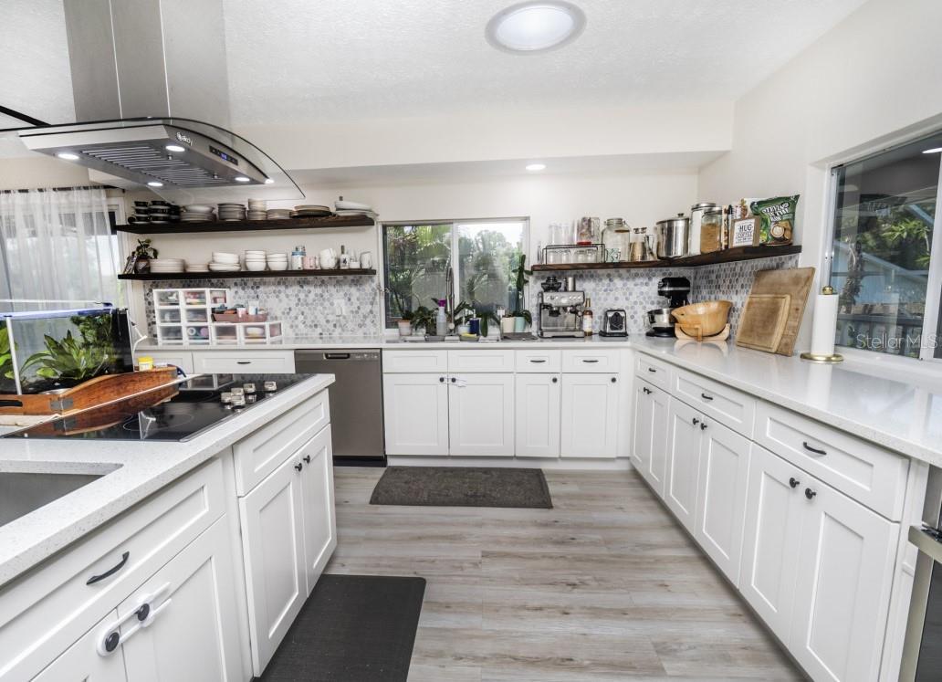 6317 WERNER AVE, NEW PORT RICHEY, FL, 34652