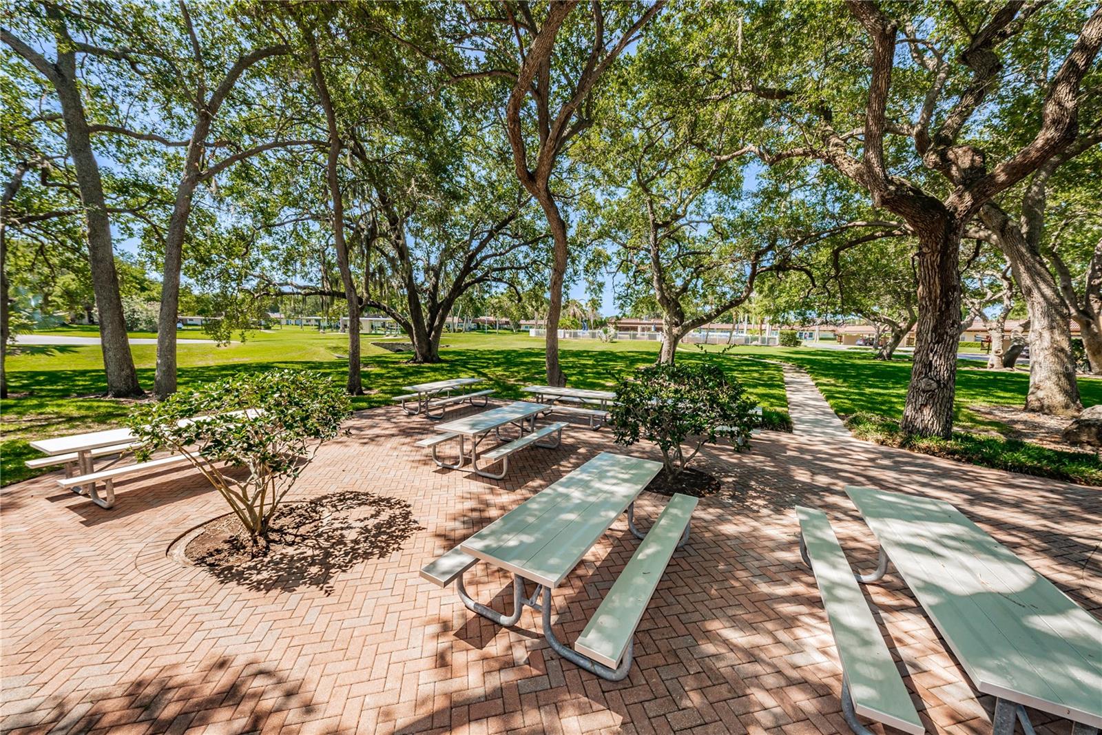 1701 PINEHURST RD #23E, DUNEDIN, FL, 34698
