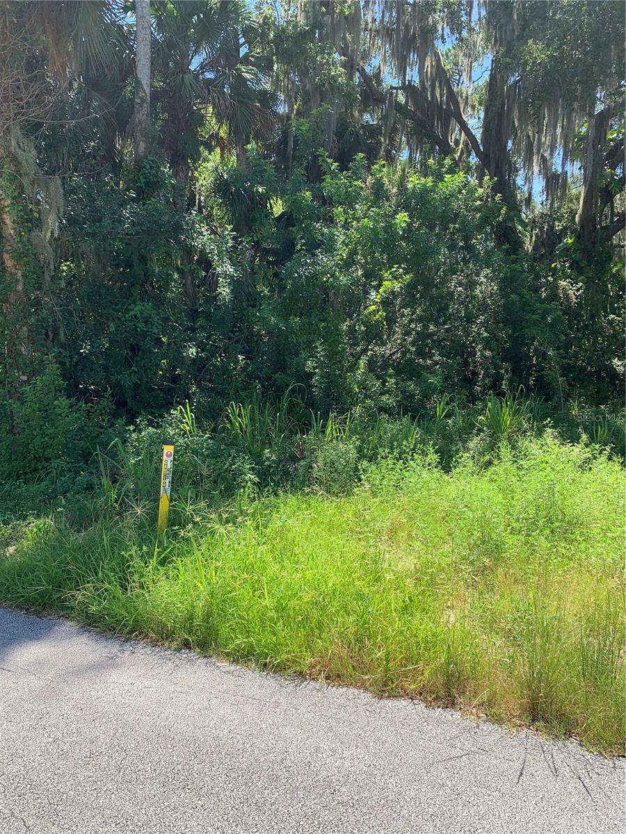 320 INGHAM RD, NEW SMYRNA BEACH, FL, 32168