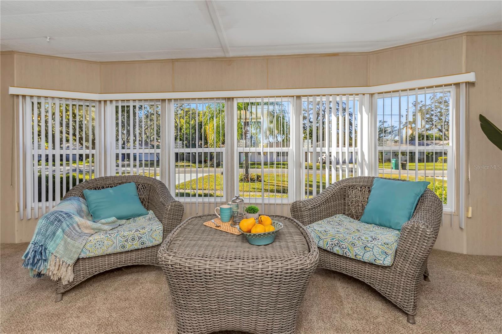 217 LAKE TARPON DR #24, PALM HARBOR, FL, 34684
