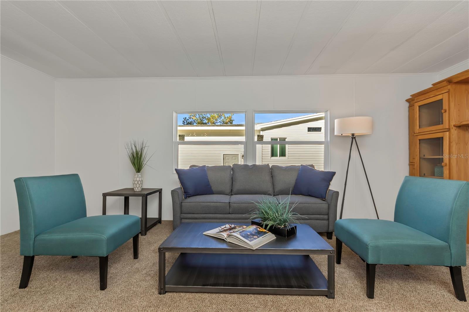 217 LAKE TARPON DR #24, PALM HARBOR, FL, 34684