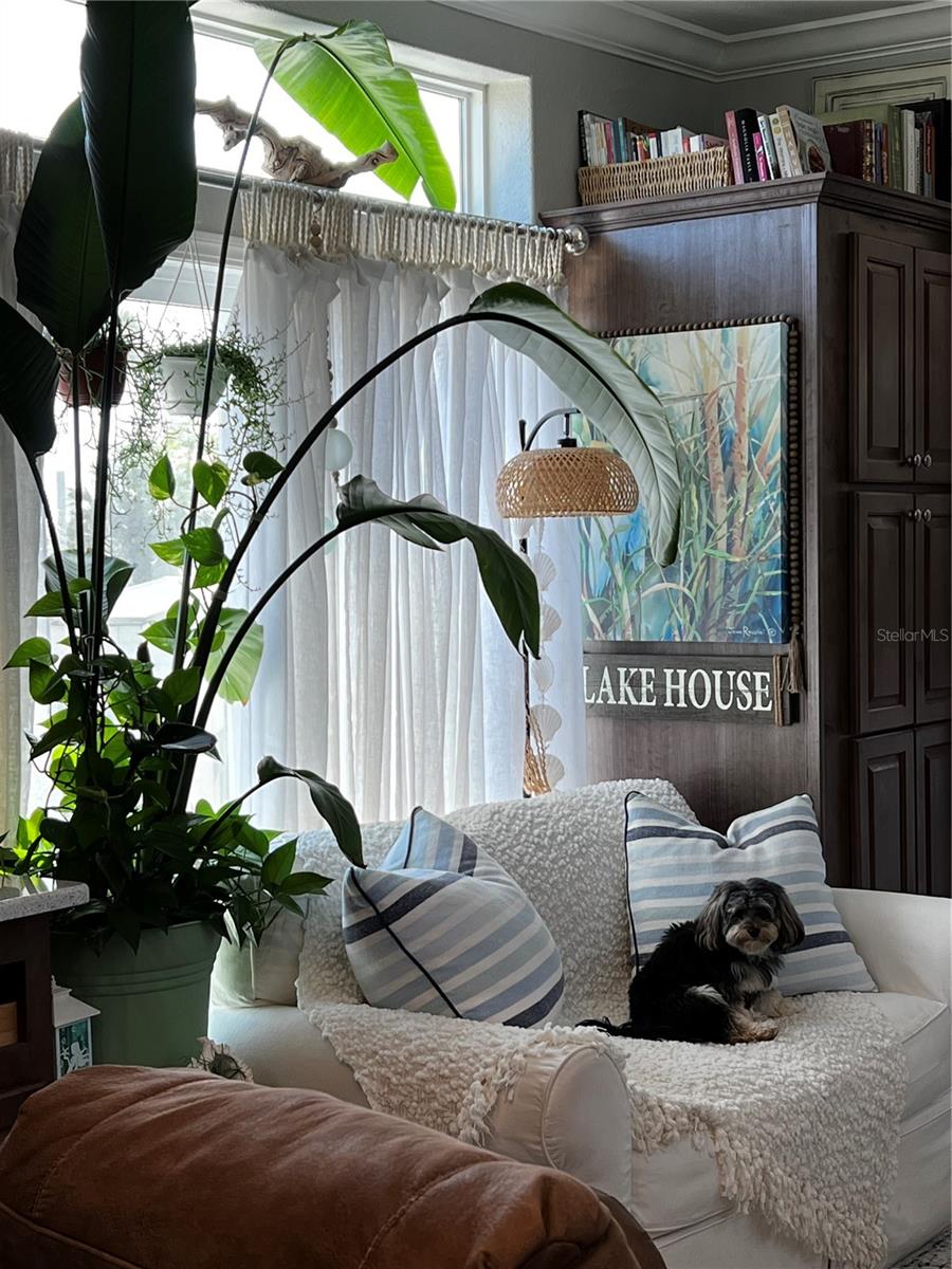 1315 PINE ISLAND DR N, ST CLOUD, FL, 34771