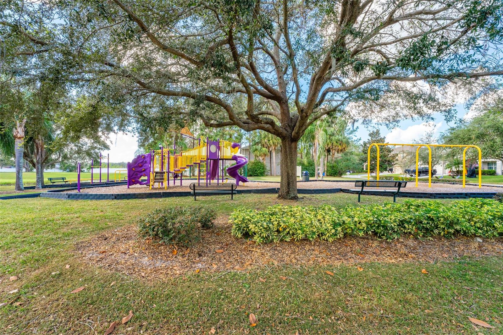 1504 RINGMORE CT, DOVER, FL, 33527