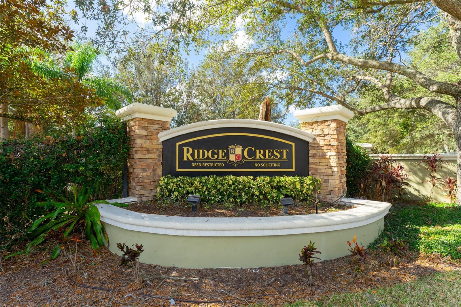 1504 RINGMORE CT, DOVER, FL, 33527