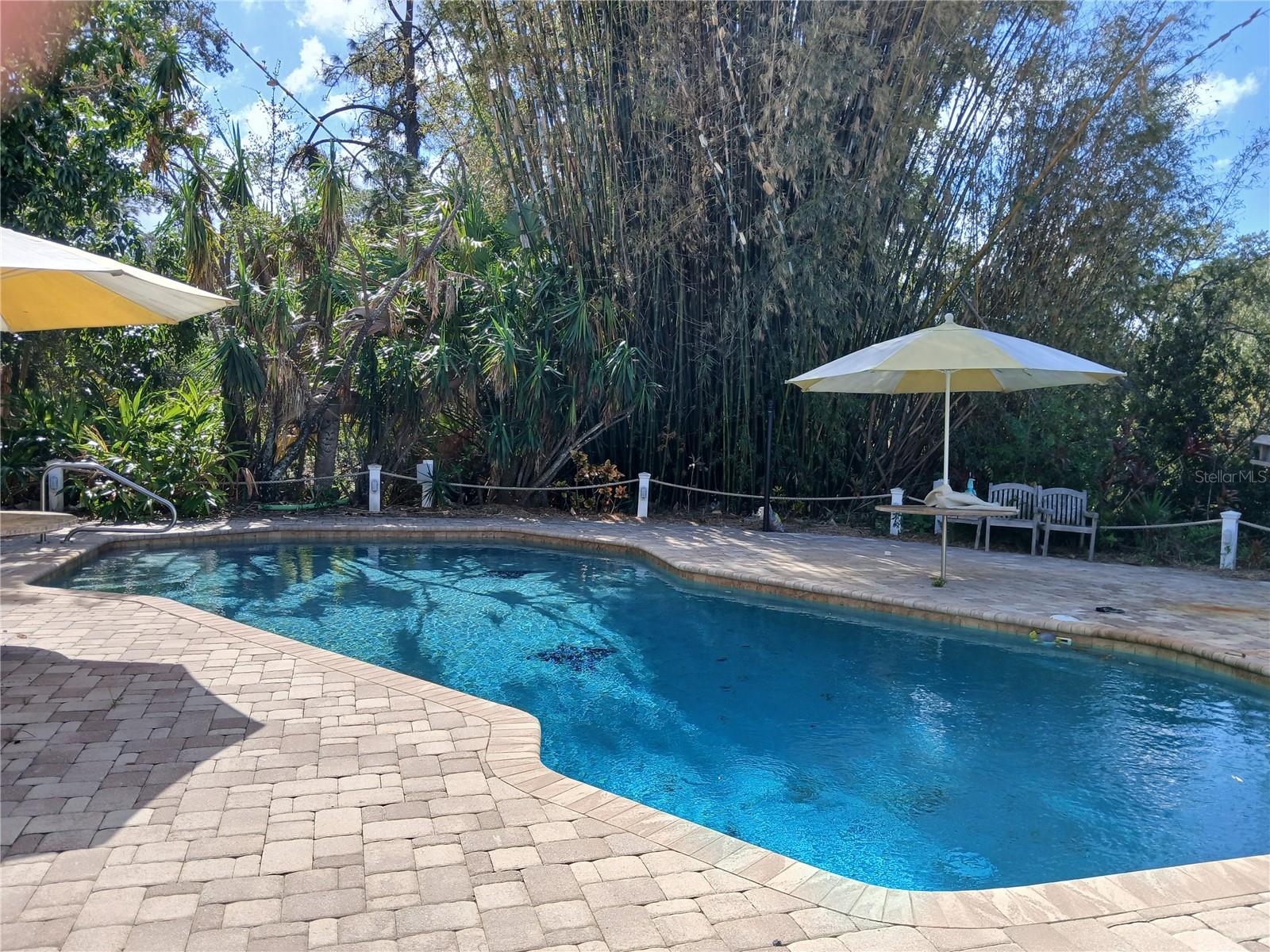 15733 TOWER VIEW DR, CLERMONT, FL, 34711
