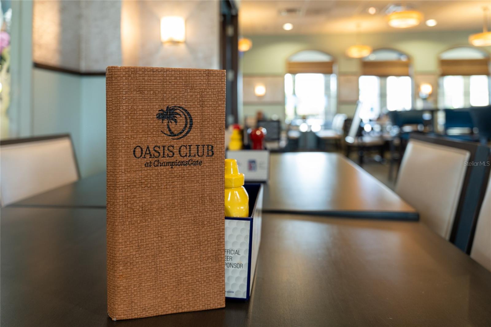 8930 STINGER DR, DAVENPORT, FL, 33896