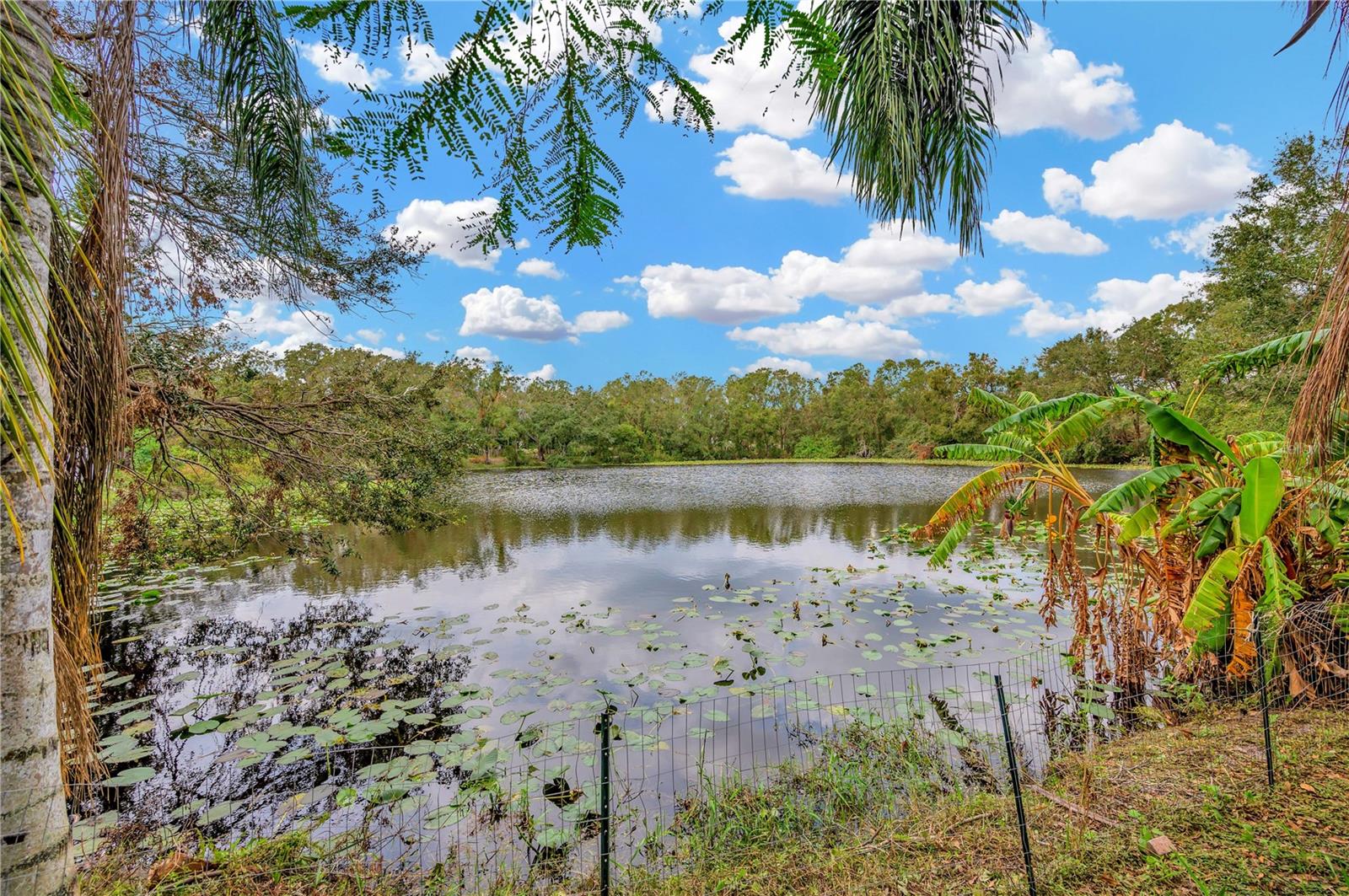 1608 PALM LEAF DR, BRANDON, FL, 33510