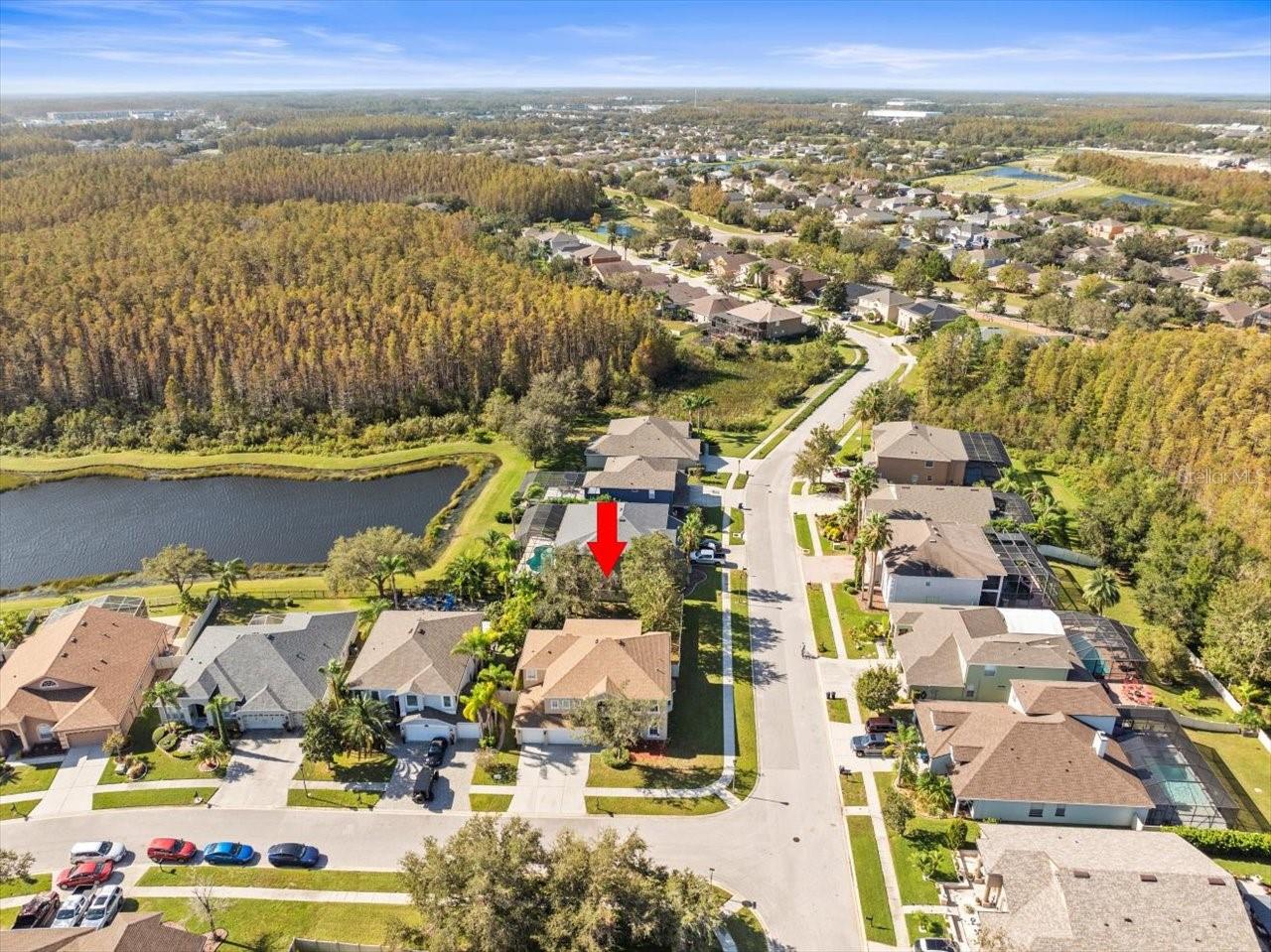 17800 SOUTER LN, LAND O LAKES, FL, 34638