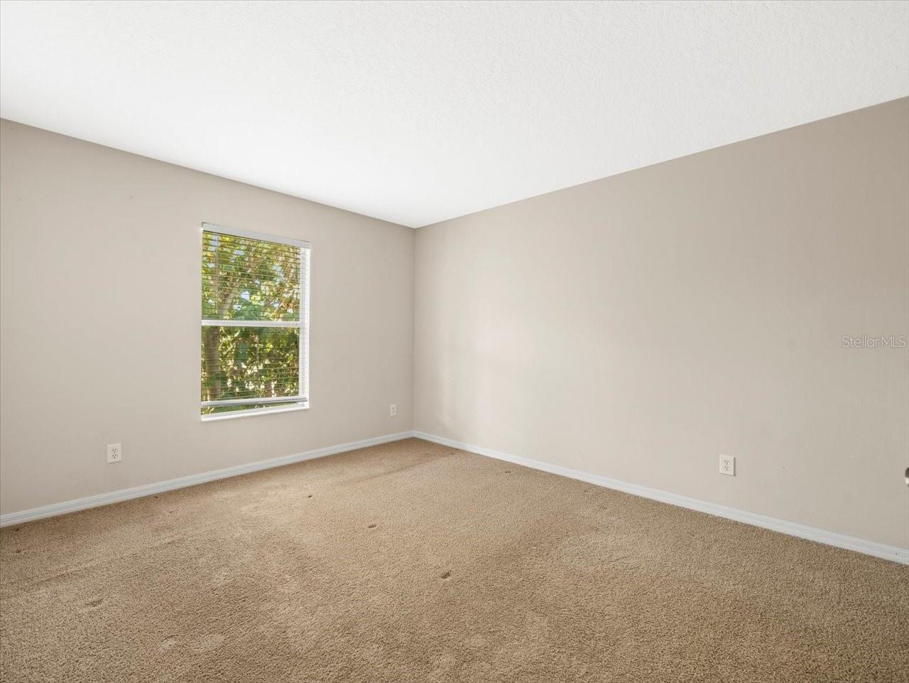 17800 SOUTER LN, LAND O LAKES, FL, 34638