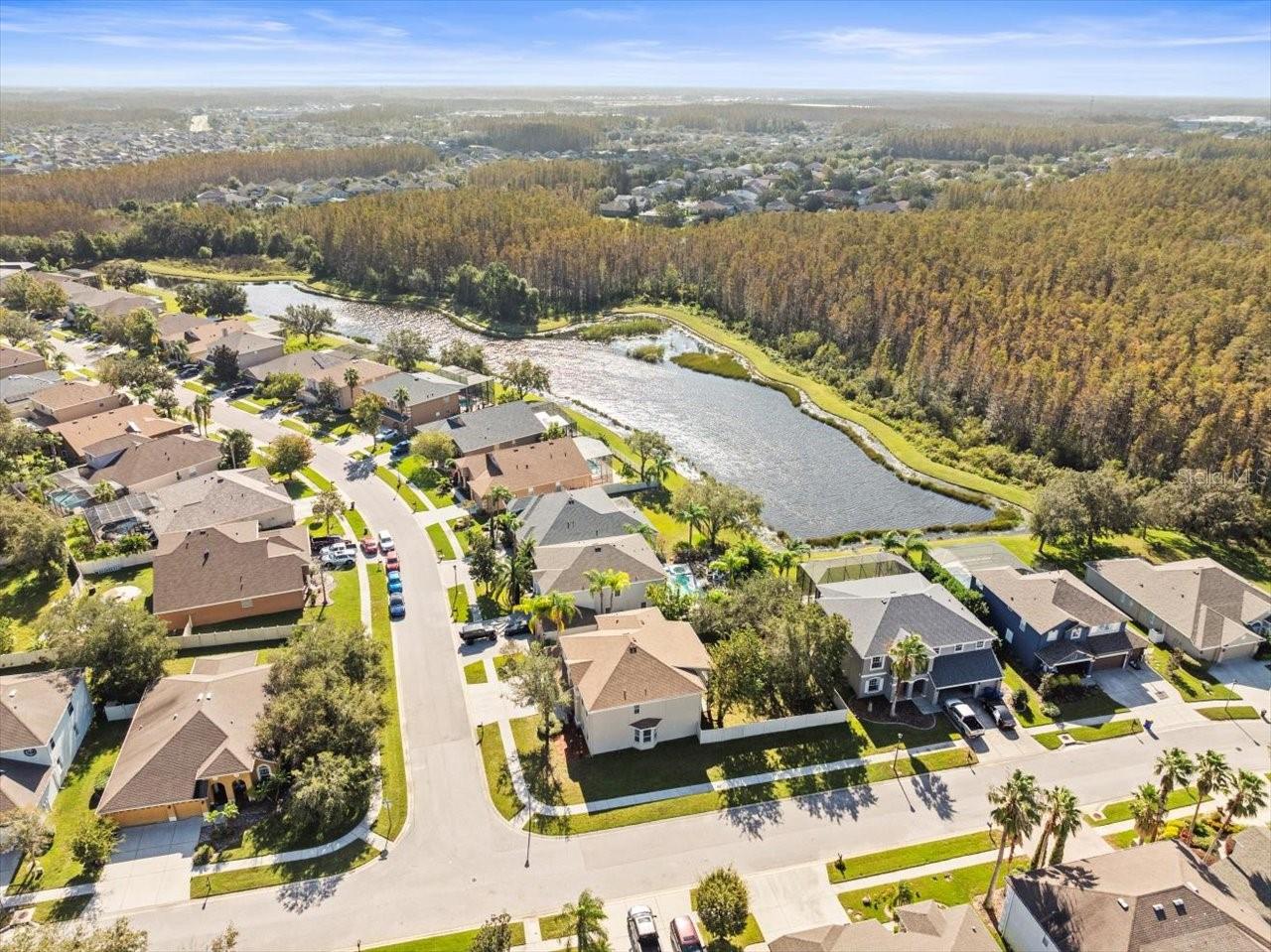 17800 SOUTER LN, LAND O LAKES, FL, 34638