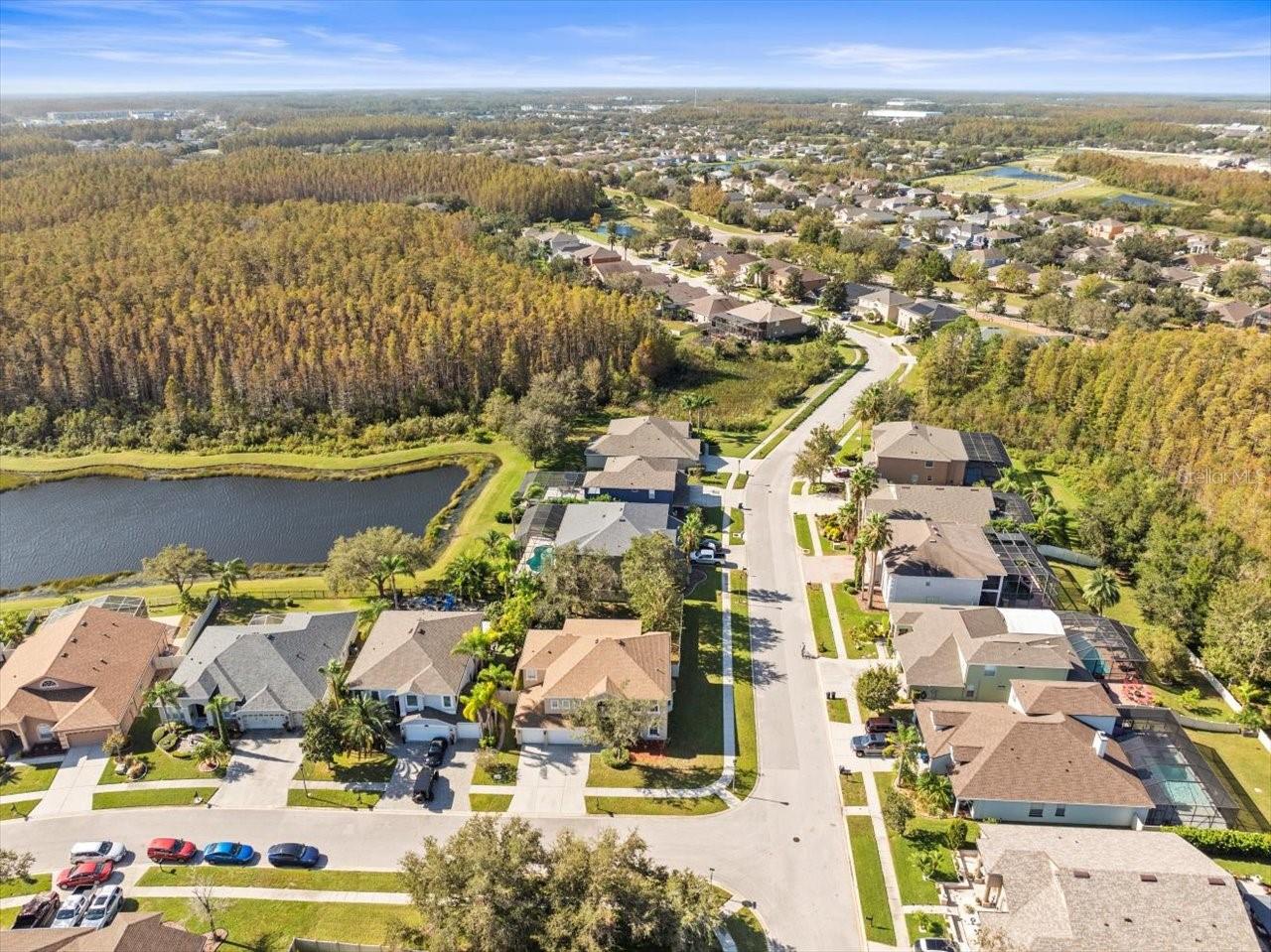 17800 SOUTER LN, LAND O LAKES, FL, 34638