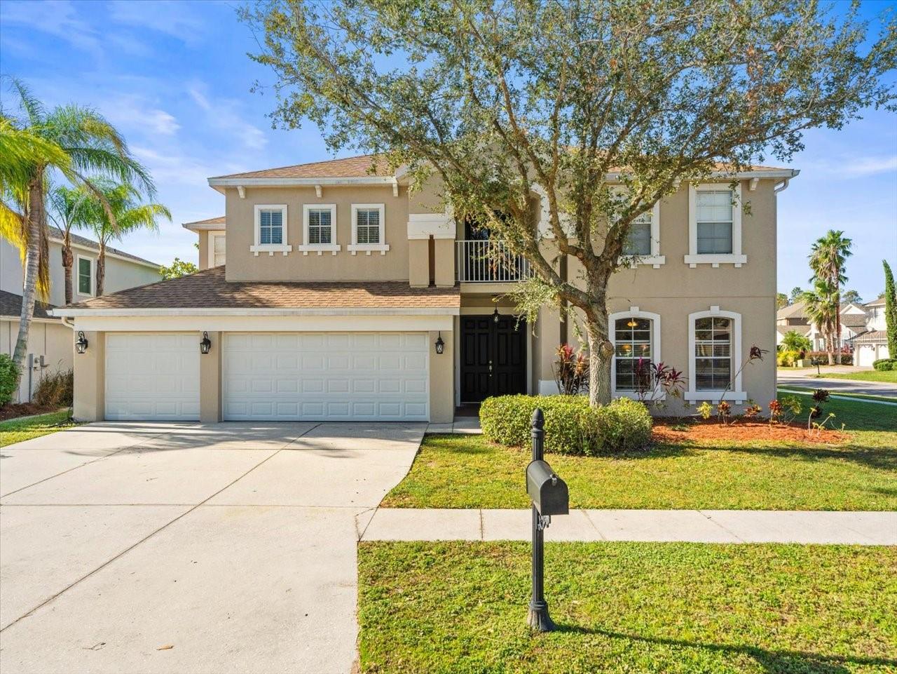 17800 SOUTER LN, LAND O LAKES, FL, 34638