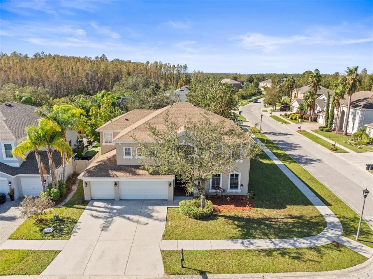 17800 SOUTER LN, LAND O LAKES, FL, 34638