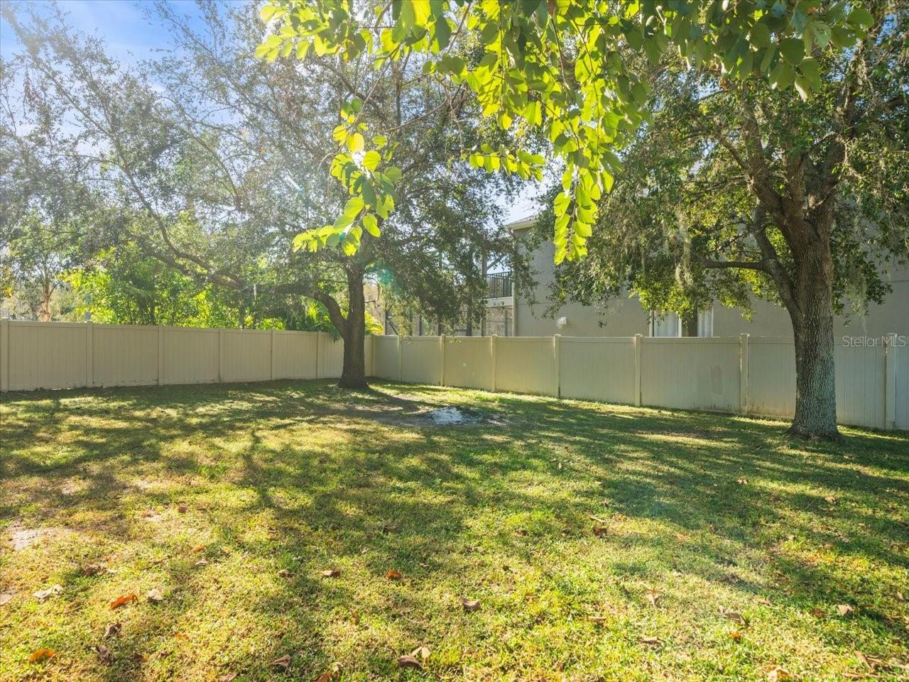 17800 SOUTER LN, LAND O LAKES, FL, 34638