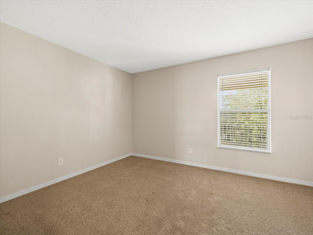 17800 SOUTER LN, LAND O LAKES, FL, 34638