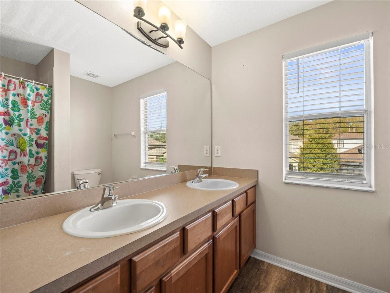17800 SOUTER LN, LAND O LAKES, FL, 34638