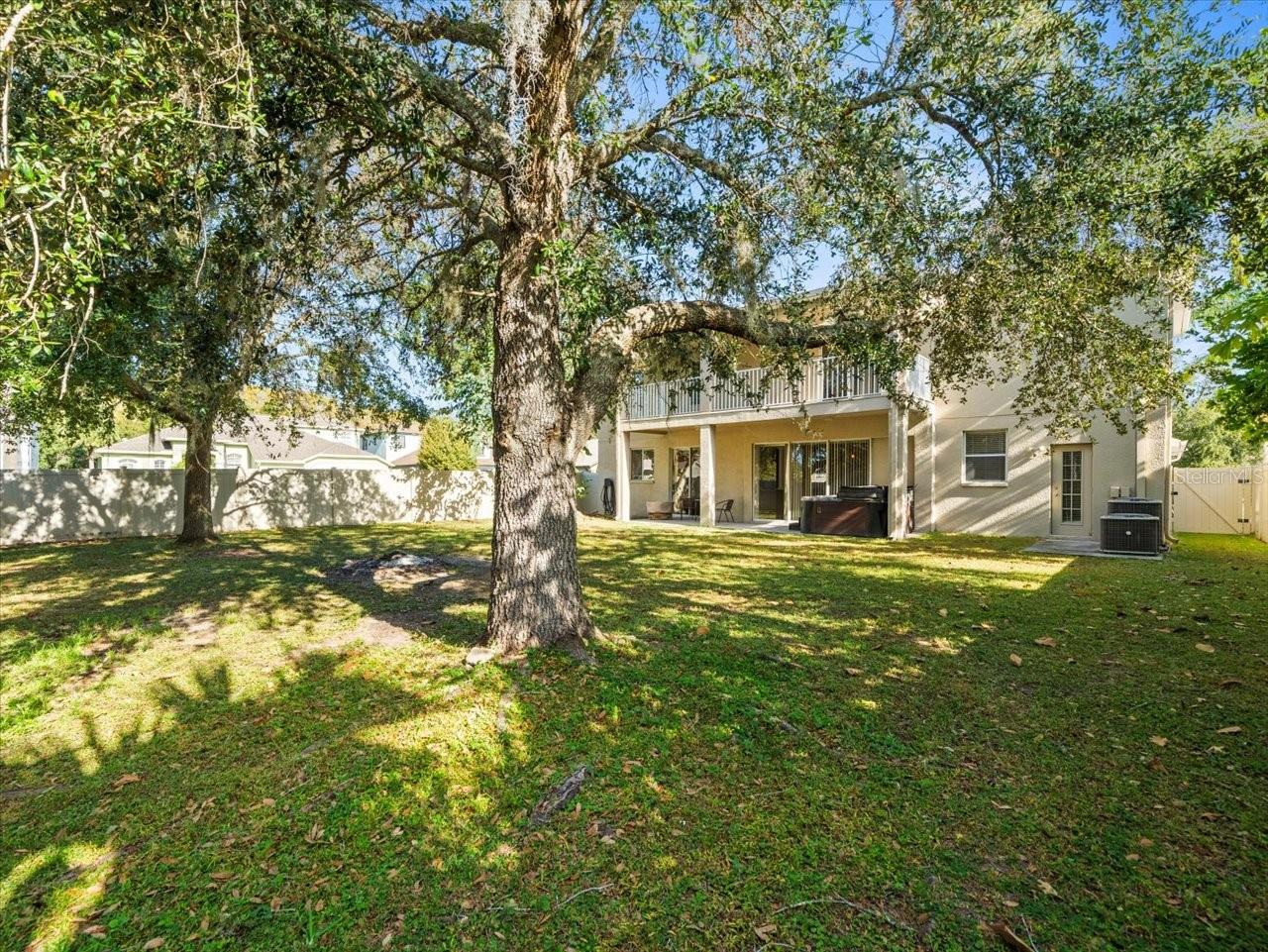 17800 SOUTER LN, LAND O LAKES, FL, 34638
