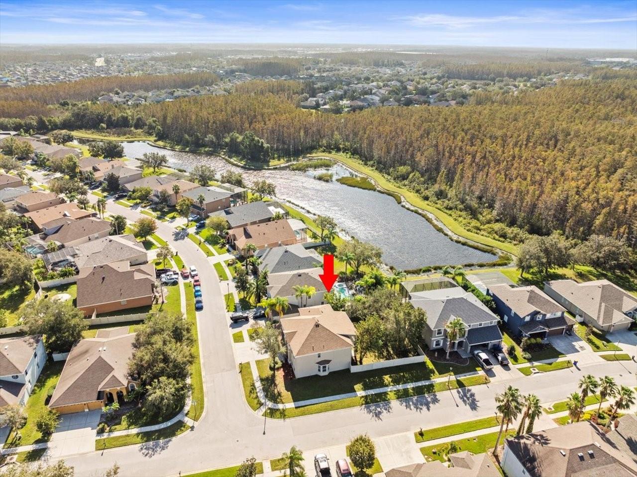 17800 SOUTER LN, LAND O LAKES, FL, 34638