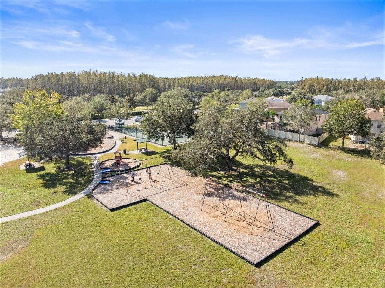 17800 SOUTER LN, LAND O LAKES, FL, 34638