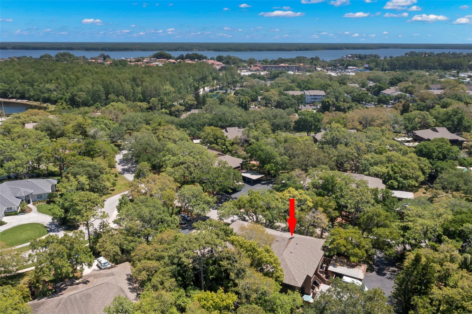 104 CYPRESS POND RD, PALM HARBOR, FL, 34683