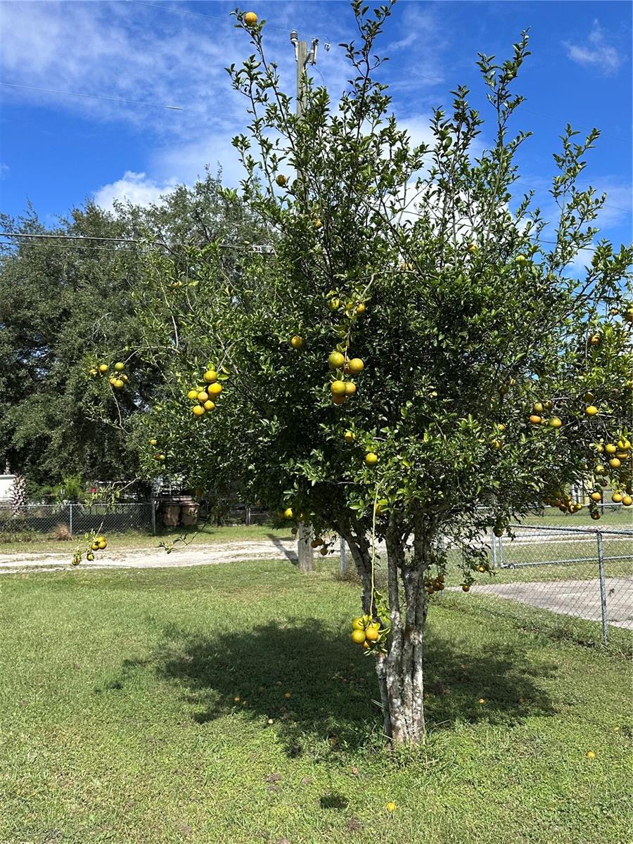 55028 6TH ST, ASTOR, FL, 32102