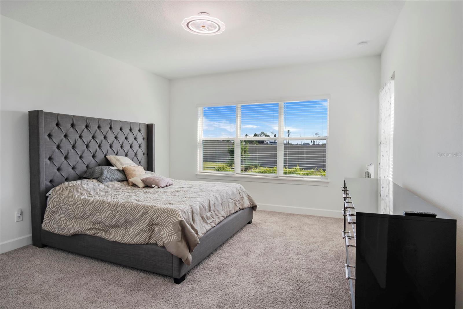 955 BRAEWOOD DR, CLERMONT, FL, 34715