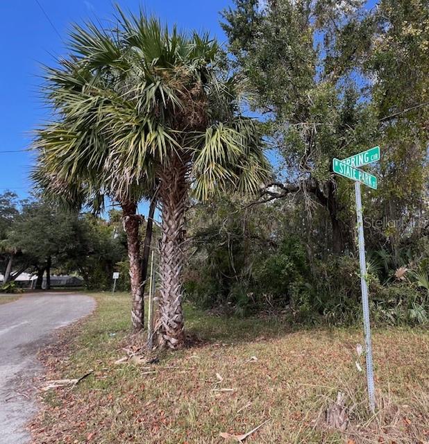 10701 W SPRING CIR, CRYSTAL RIVER, FL, 34428
