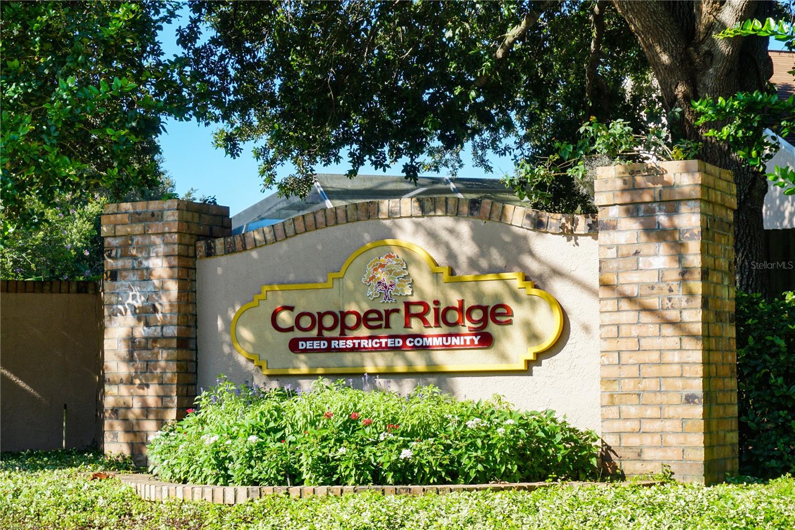 715 GRAND CANYON DR, VALRICO, FL, 33594