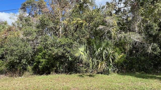 10705 W SPRING CIR, CRYSTAL RIVER, FL, 34428