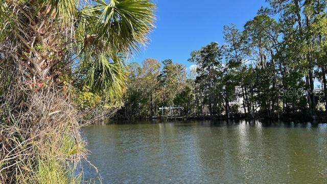 10715 W SPRING CIR, CRYSTAL RIVER, FL, 34428