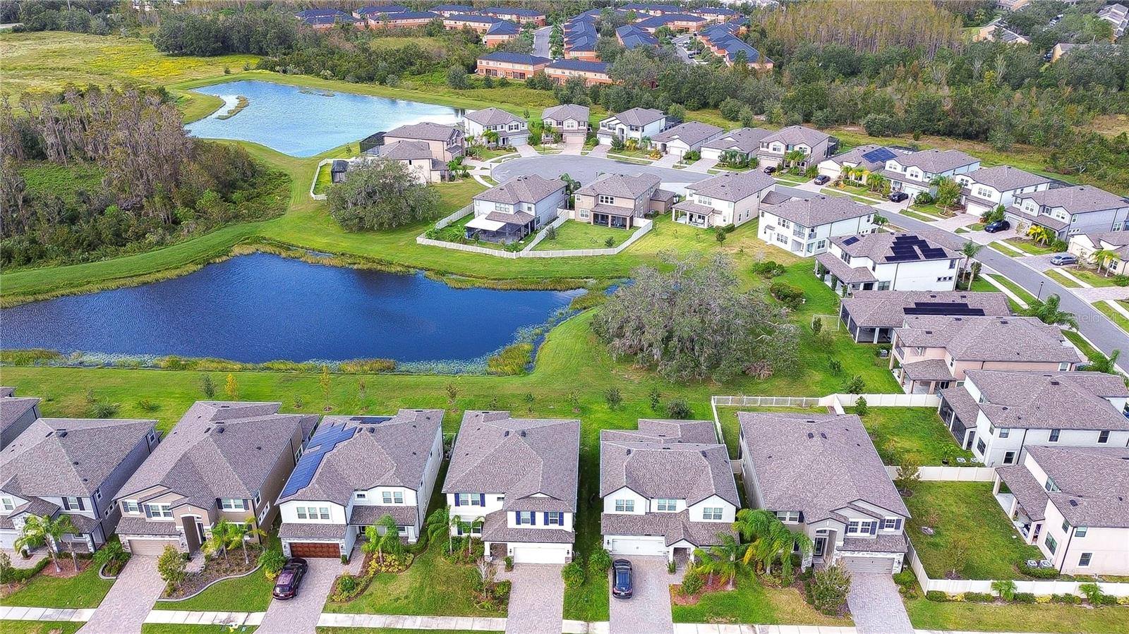 10330 STALLION FIELDS WAY, TAMPA, FL, 33647