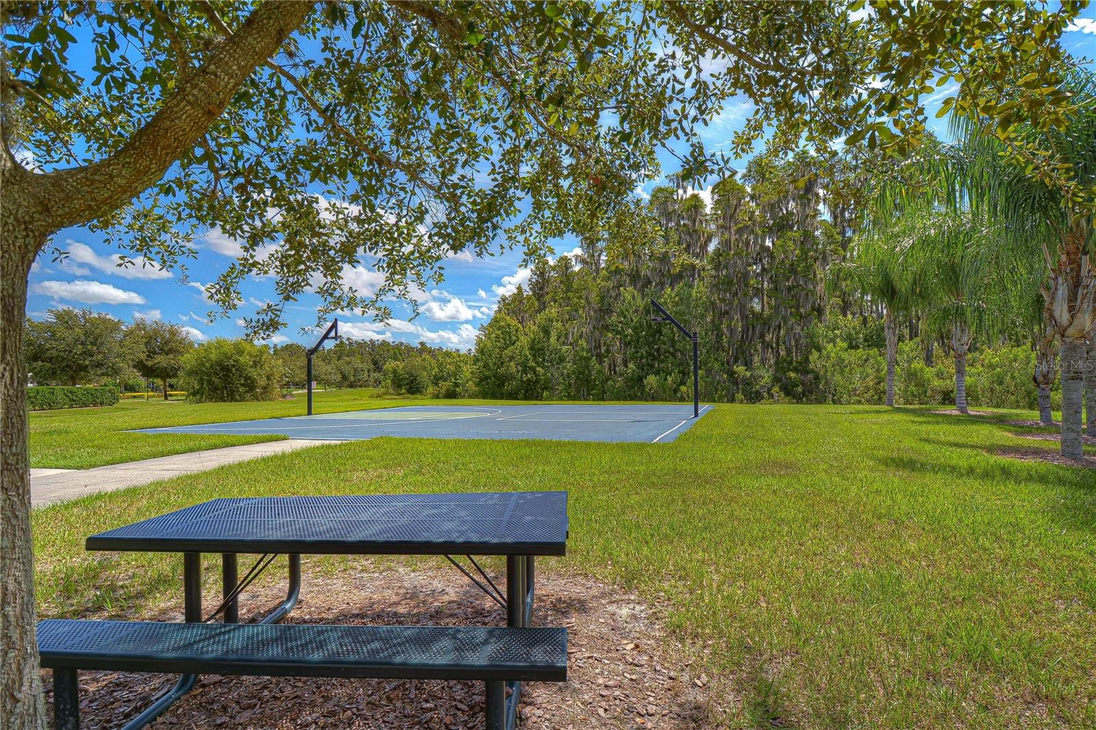 10330 STALLION FIELDS WAY, TAMPA, FL, 33647